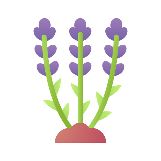 lavanda icono gratis