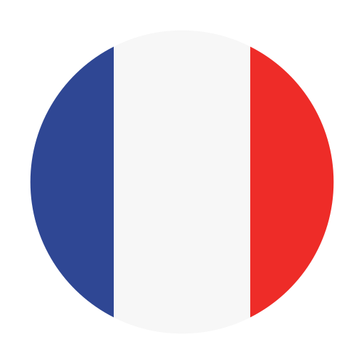 France - Free flags icons