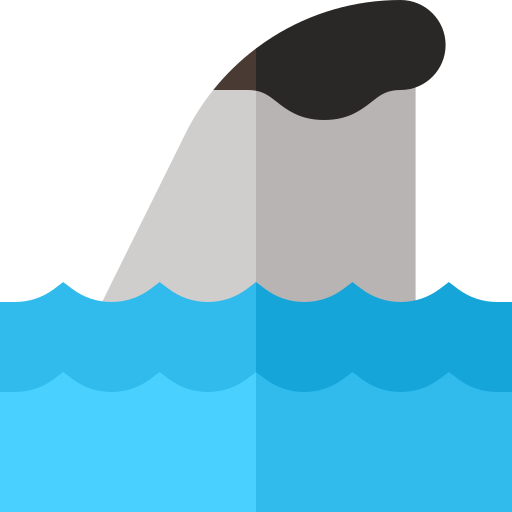 requin Icône gratuit