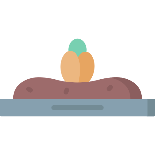 samen kostenlos Icon