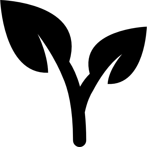 Leaves of a plant free icon