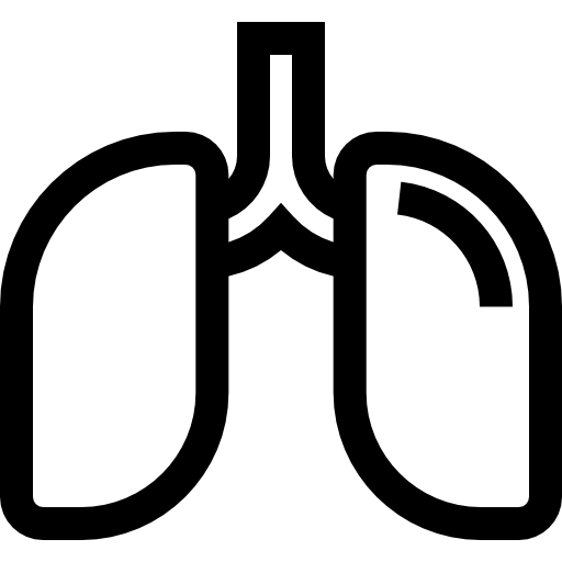 Lungs Basic Straight Lineal icon