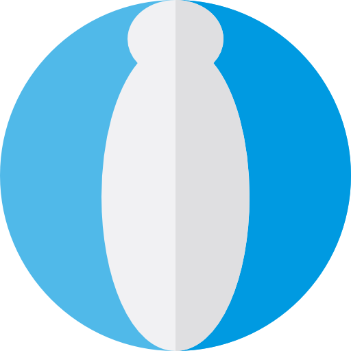 pelota de playa icono gratis