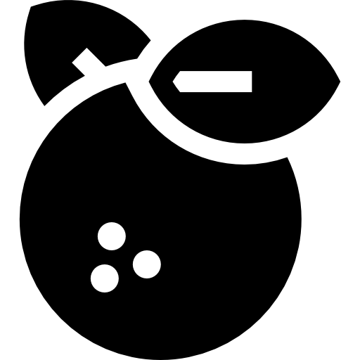 laranja grátis ícone