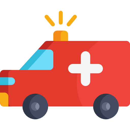 Ambulance Special Flat icon