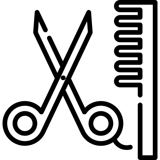 salon Icône gratuit