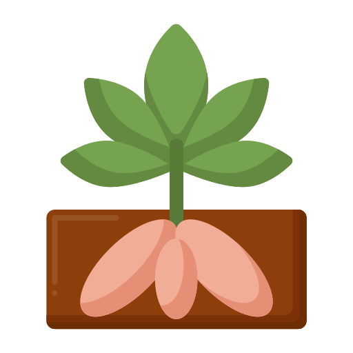 Yucca free icon Yucca free icon