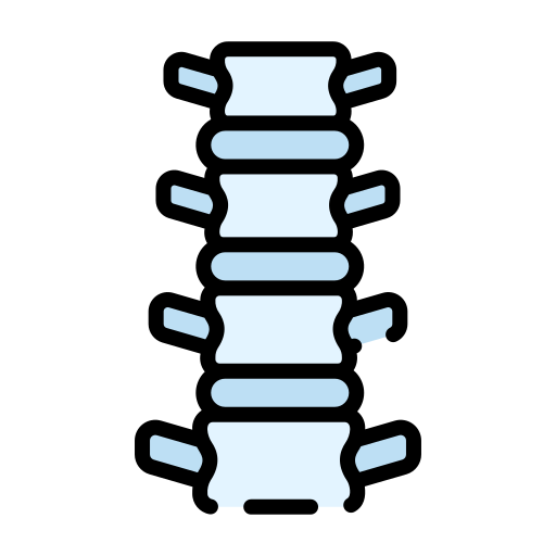 Icono De Columna Vertebral Good Ware Lineal Color Vrogue Co