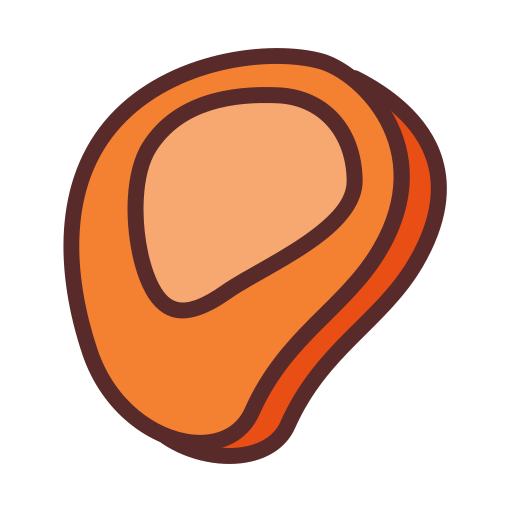 Grilled meat Generic Outline Color icon