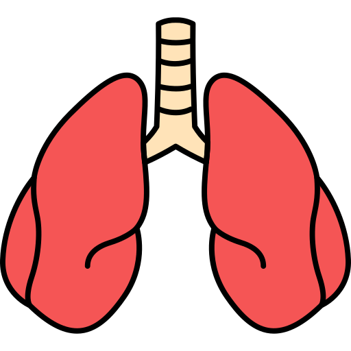 Human organ Generic Outline Color icon