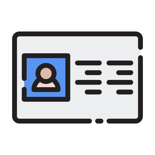 Visa Generic Outline Color Icon