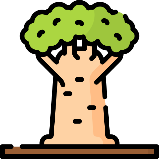 baobab grátis ícone