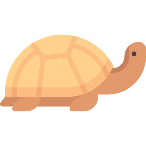 tortuga icono gratis