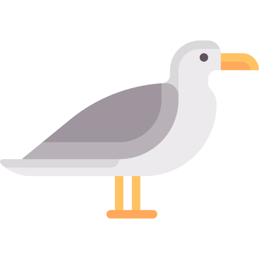 Seagull - Free animals icons