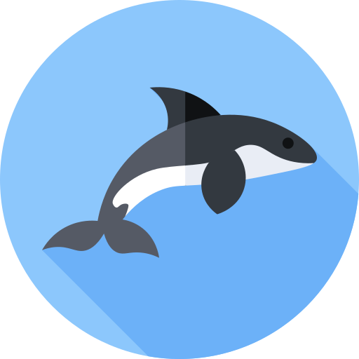 Killer whale free icon