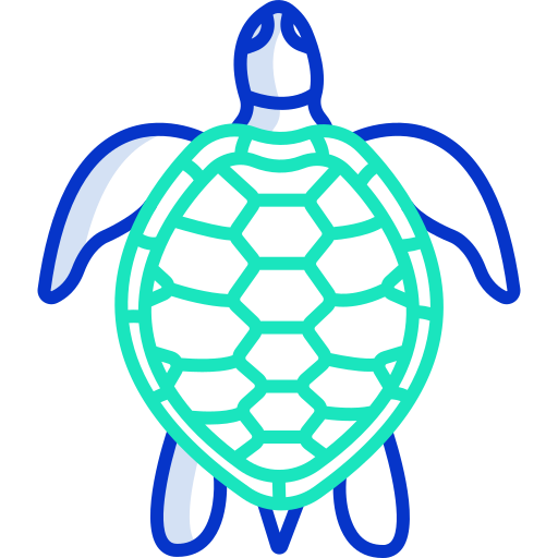 tortuga icono gratis