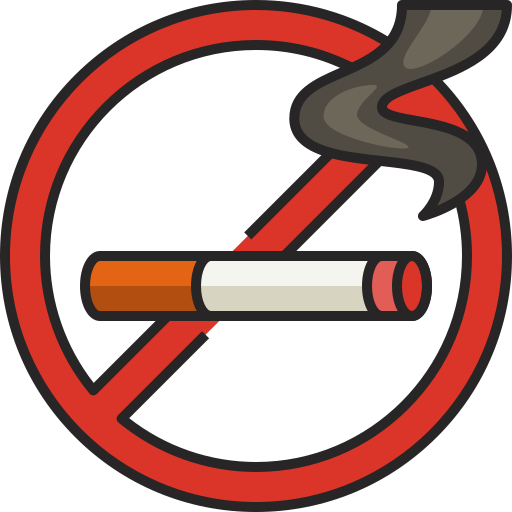 No Smoking Generic Outline Color Icon