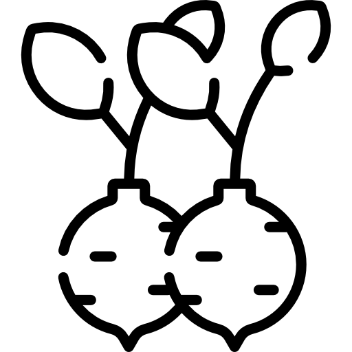 un radis Icône gratuit