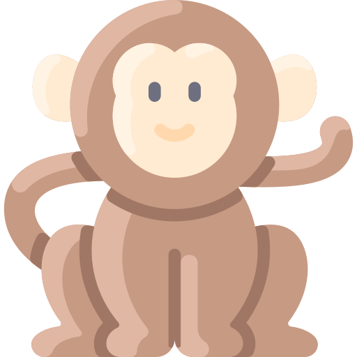 Photo - Macaco Safari - Free Transparent PNG Clipart Images Download