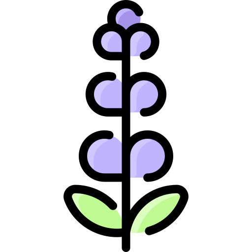 lavanda icono gratis