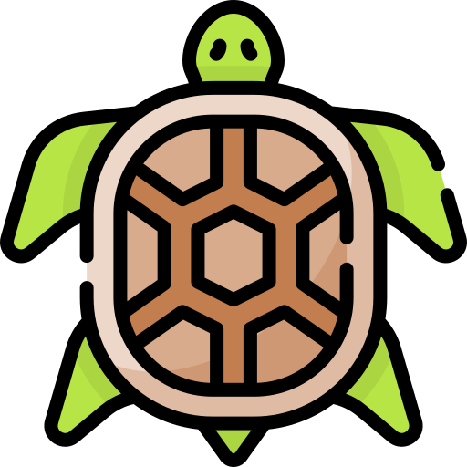 Turtle Special Lineal color icon