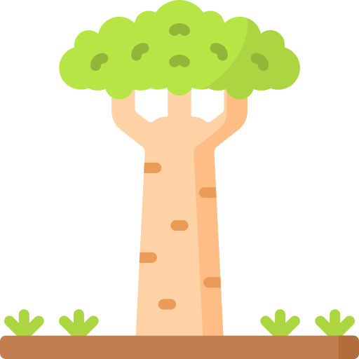 adansonia icono gratis