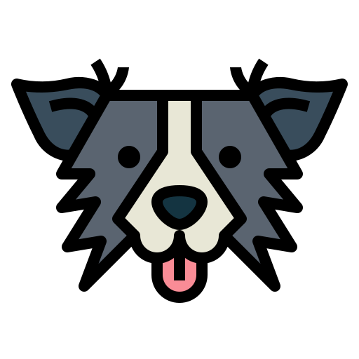 border collie icono gratis