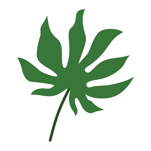 Ginkgo biloba free icon Ginkgo biloba free icon