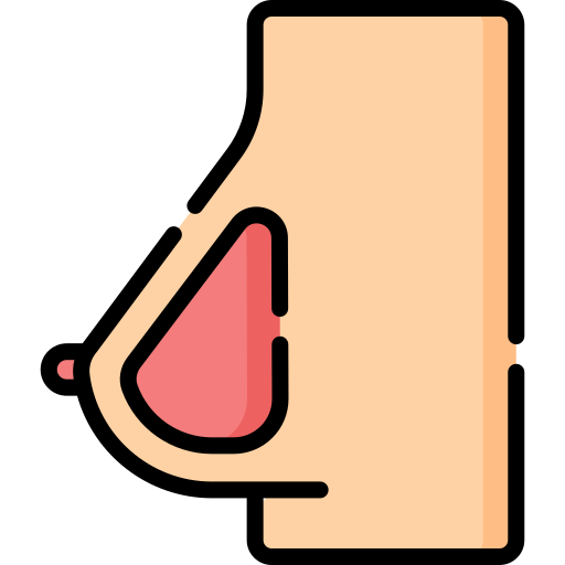 Breast Special Lineal icon