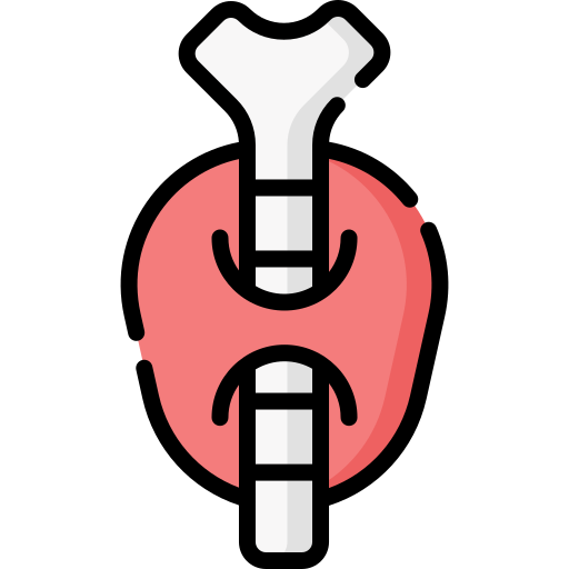 Thyroid Special Lineal Color Icon 8870