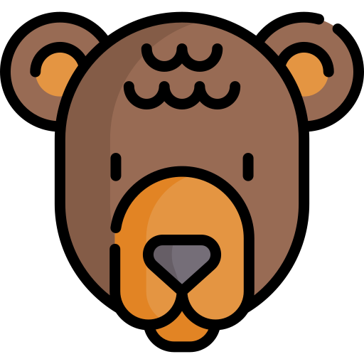 Bear Special Lineal color icon