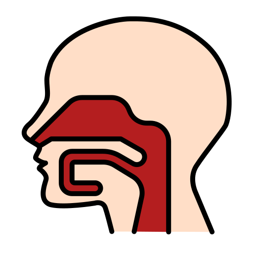 Pharynx Generic Outline Color icon