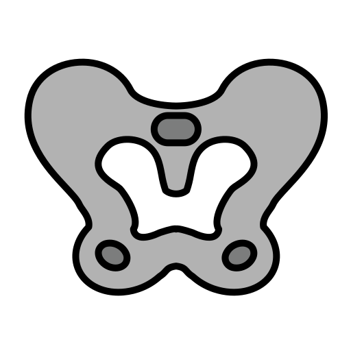 pelvis icono gratis