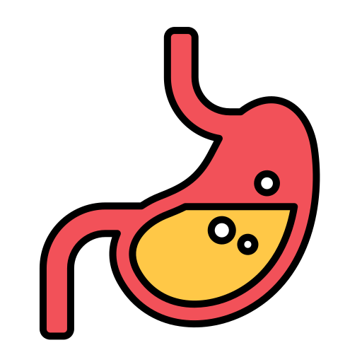 bauch kostenlos Icon bauch kostenlos Icon