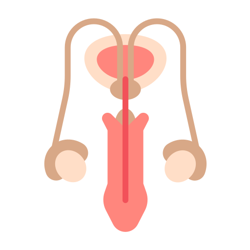 sistema reproductivo icono gratis