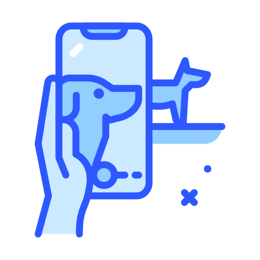 sesión de fotos icono gratis