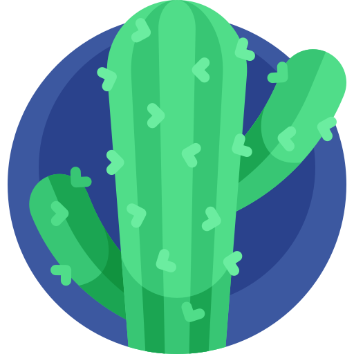 kaktus kostenlos Icon kaktus kostenlos Icon