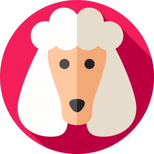 개 무료 아이콘