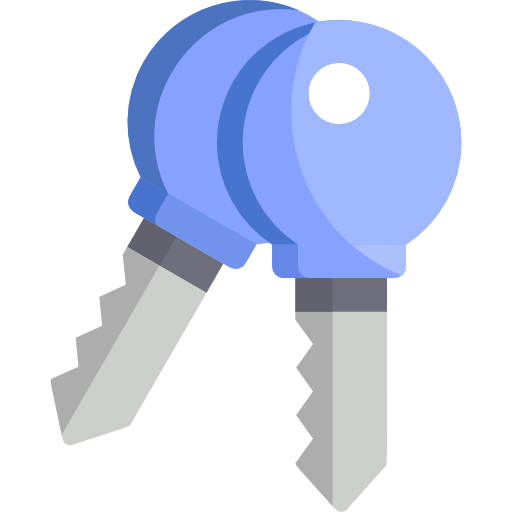 Key Special Flat icon