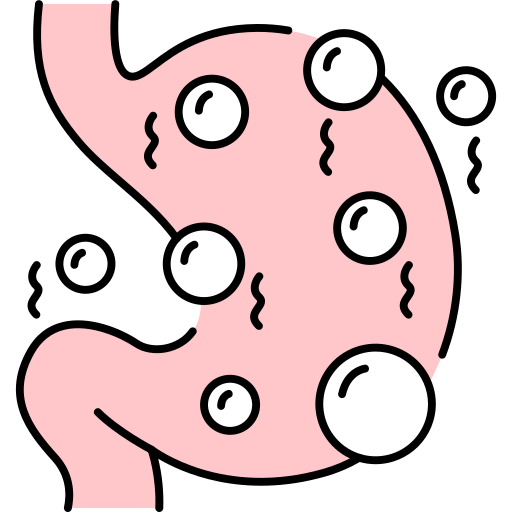 bauch kostenlos Icon