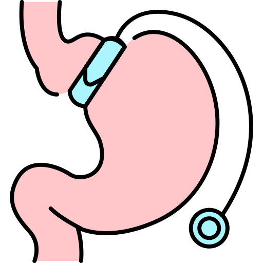 bauch kostenlos Icon