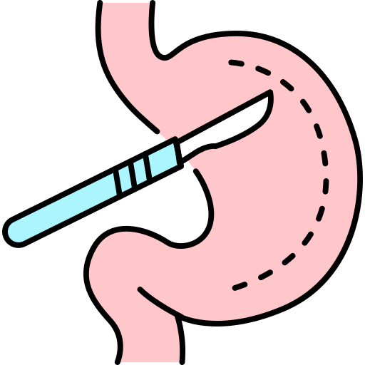 bauch kostenlos Icon