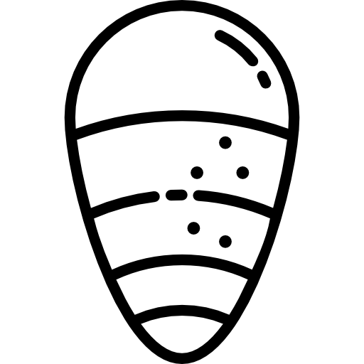 Мидия бесплатно иконка