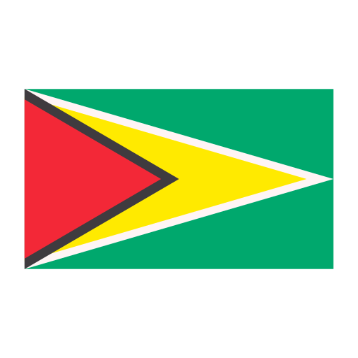 Guyana Generic Flat icon