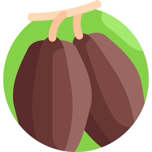 cacao icono gratis