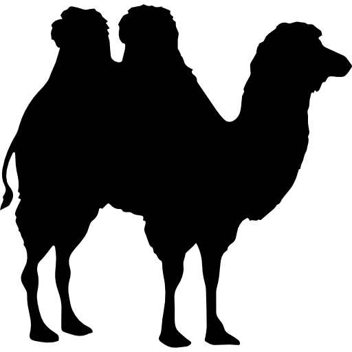 Camel shape - Free animals icons