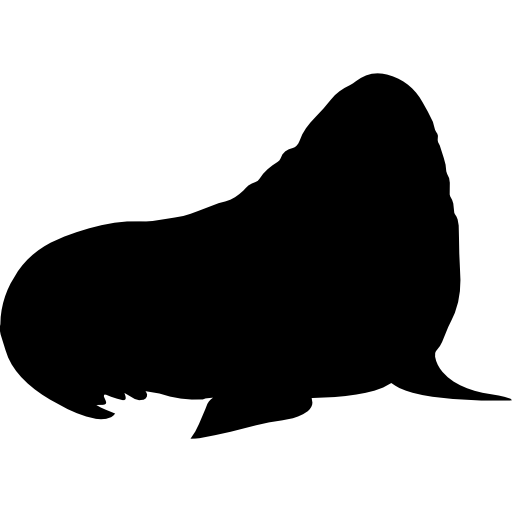 바다 코끼리 포유류 실루엣 무료 아이콘
