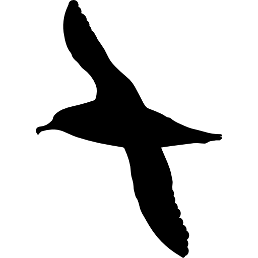 forma de pájaro albatros icono gratis