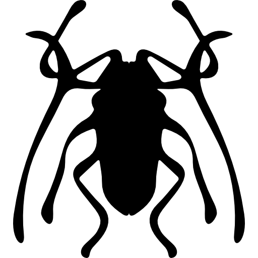 insecto escarabajo trictenotomidae icono gratis