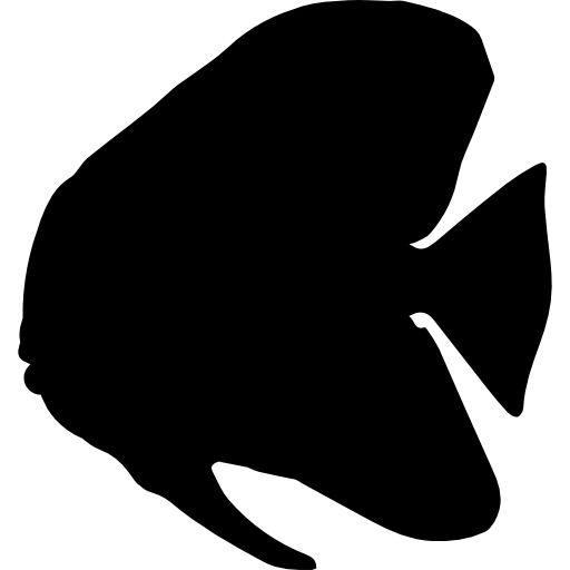 forme de poisson chauve-souris Icône gratuit